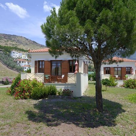 Gaea Gardens Studios & Villas Petra  Dış mekan fotoğraf