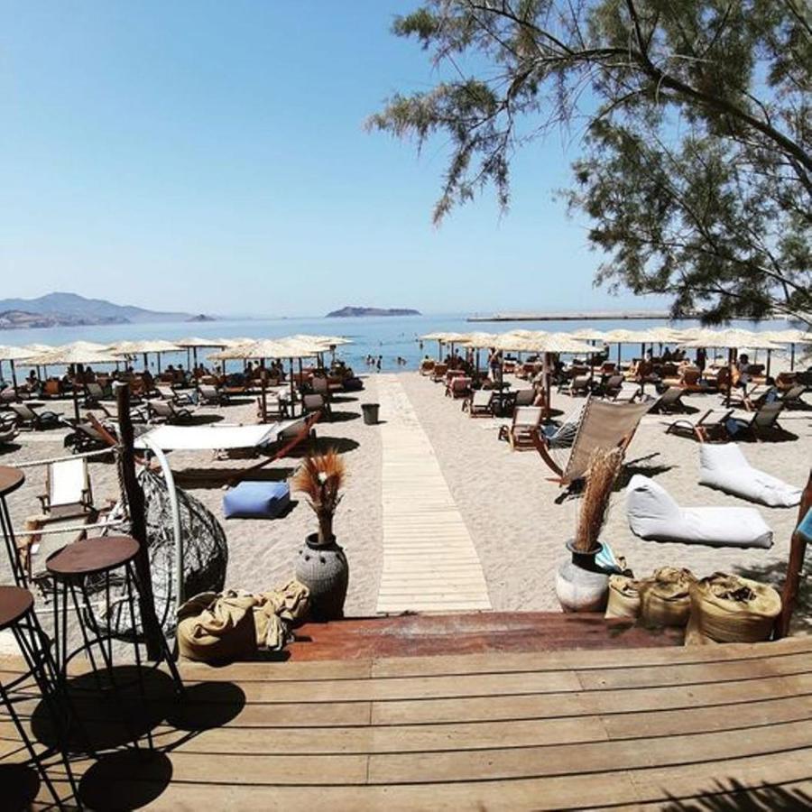 Gaea Gardens Studios & Villas Petra  Dış mekan fotoğraf