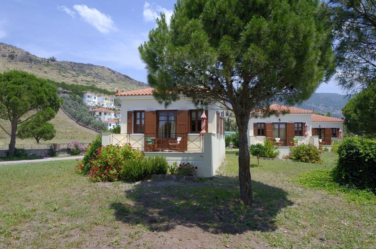 Gaea Gardens Studios & Villas Petra  Dış mekan fotoğraf