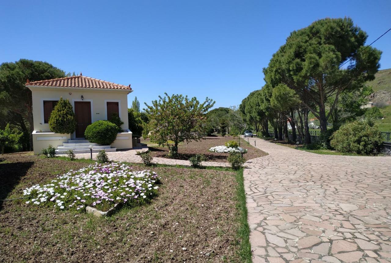 Gaea Gardens Studios & Villas Petra  Dış mekan fotoğraf